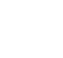 My Car Consultant